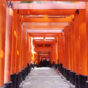 [京都] 伏見稻荷大社-爬不停歇，綿延不絕的鳥居